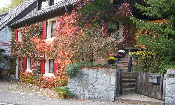 Foto Doppelhaushälfte